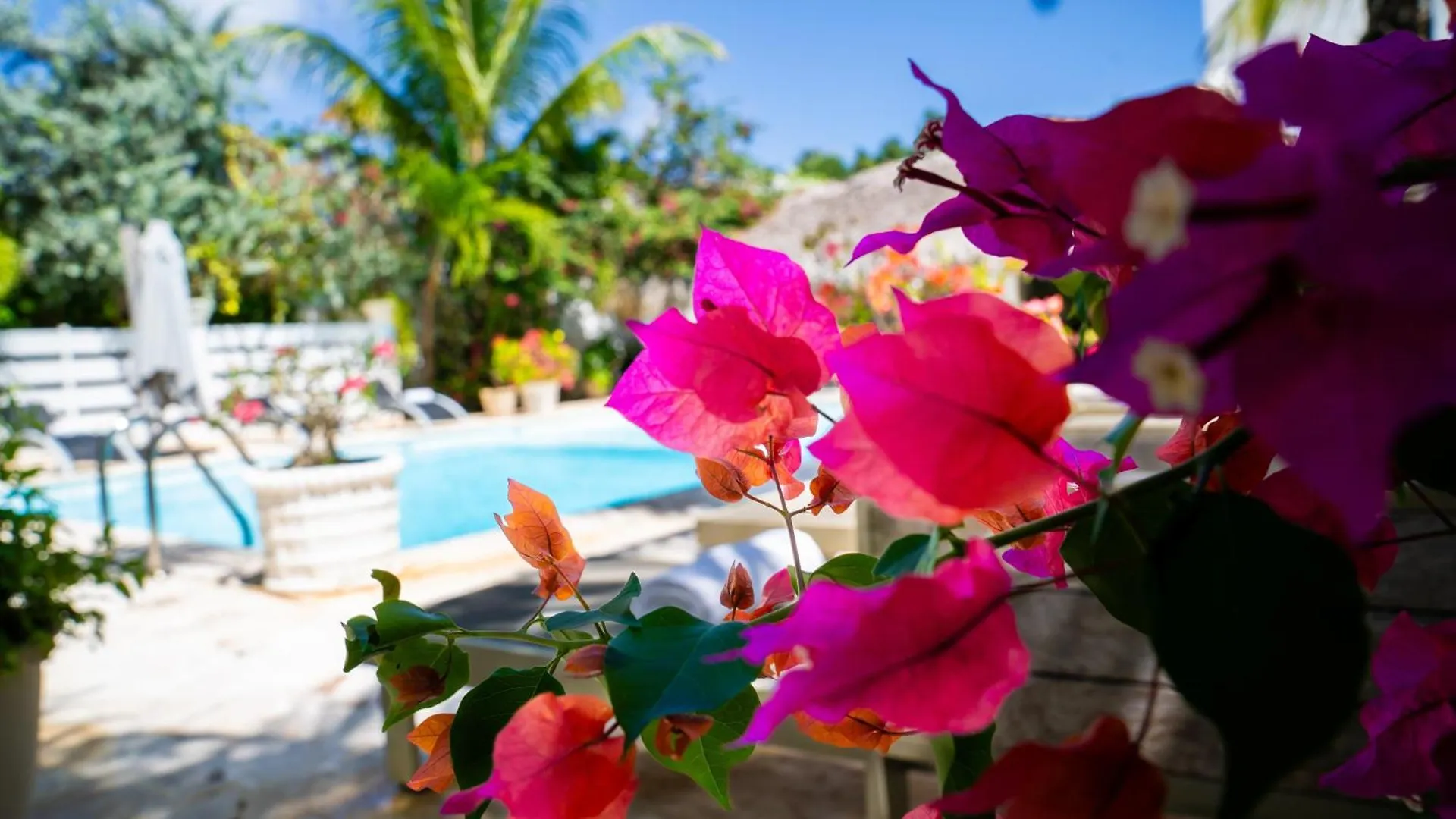 Boutique Hotel Las Flores Punta Cana