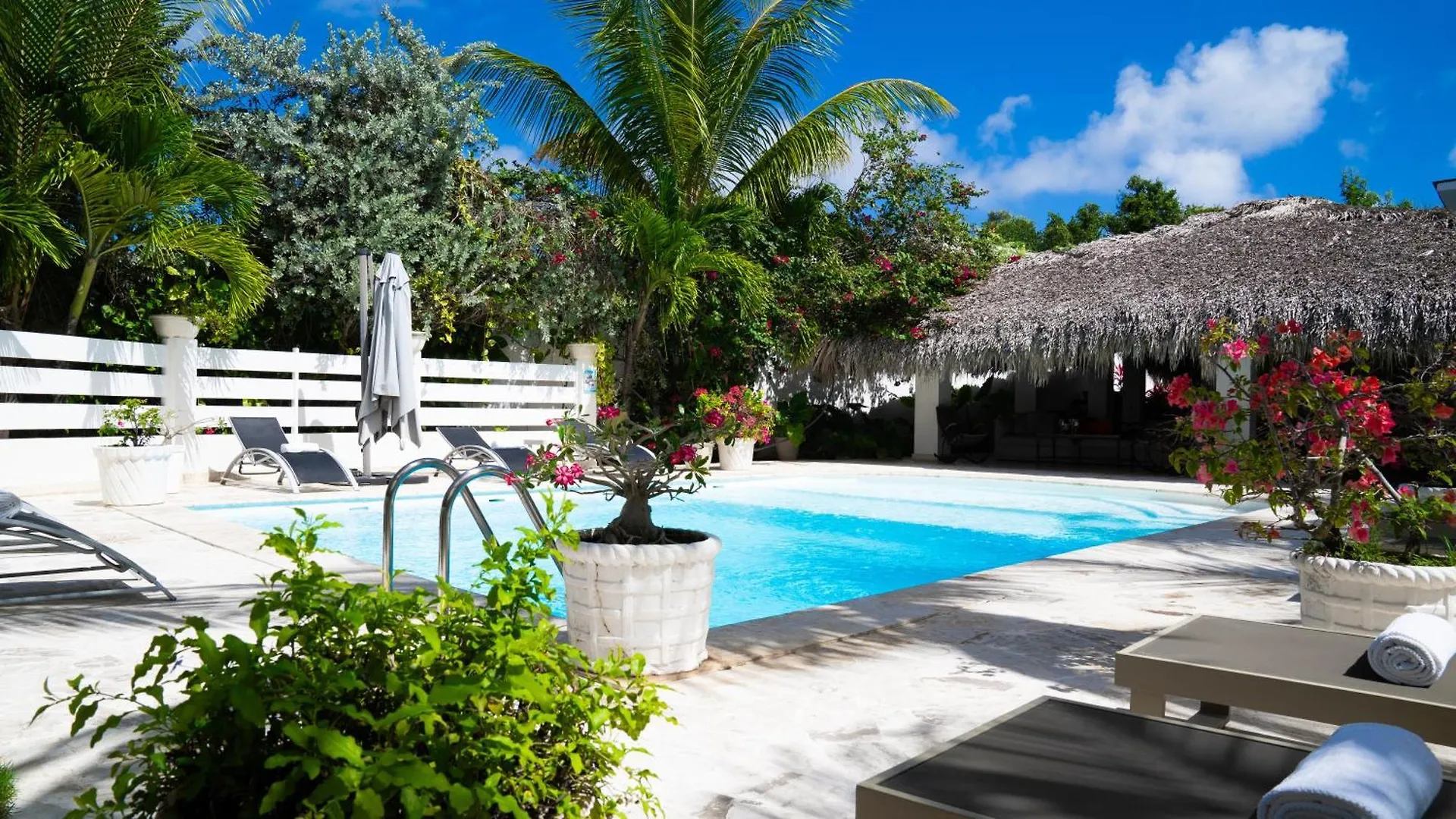 Boutique Hotel Las Flores Punta Cana Dominican Republic